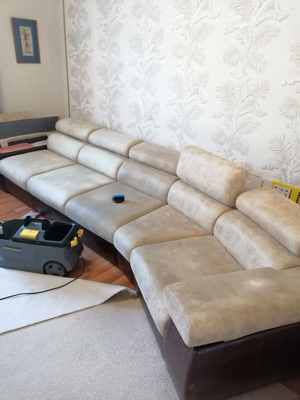 Химчистка дивана в Гродно