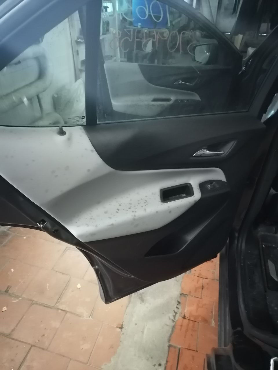 Химчистка салона автомобиля от плесени в Гродно